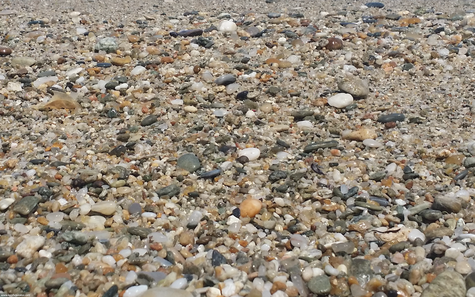 The sea pictures - beach, stones, daylight