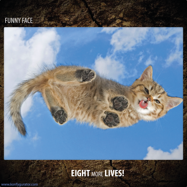 Funny Face - Eight More Lives!