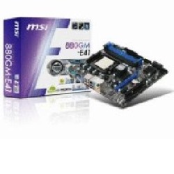 MSI 880GM-E41