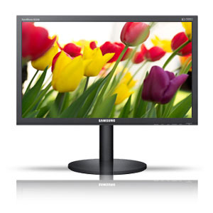 24" Samsung B2440M