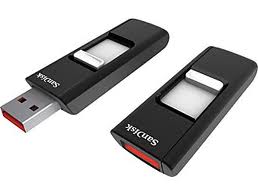 SanDisk 8GB USB 2.0 Cruzer
