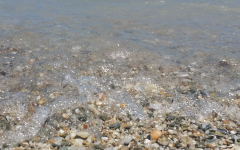 beach, sand, wet stone