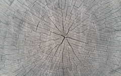 circular, lines, wood